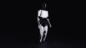 Optimus - humanoidalny robot Tesli